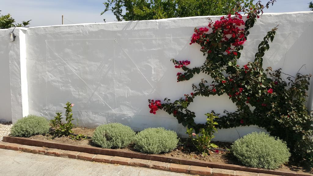 Casa de hóspedes La Del Duende Arcos de la Frontera